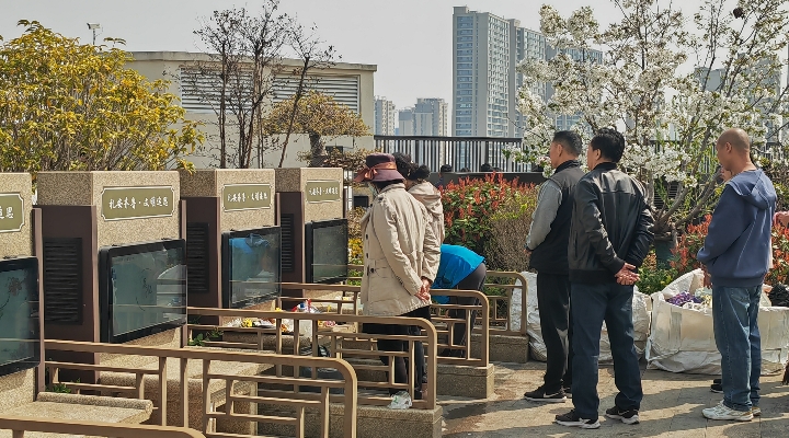 1775522150504575.jpg 15.jpg